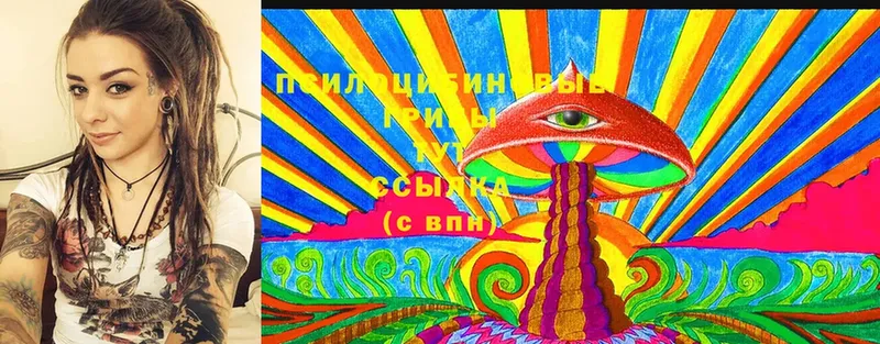 цены   Кашин  Псилоцибиновые грибы Psilocybine cubensis 